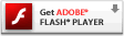 下载 Adobe Flash player